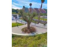 Long time Rental - Apartment/Flat - Orihuela - Orihuela Costa