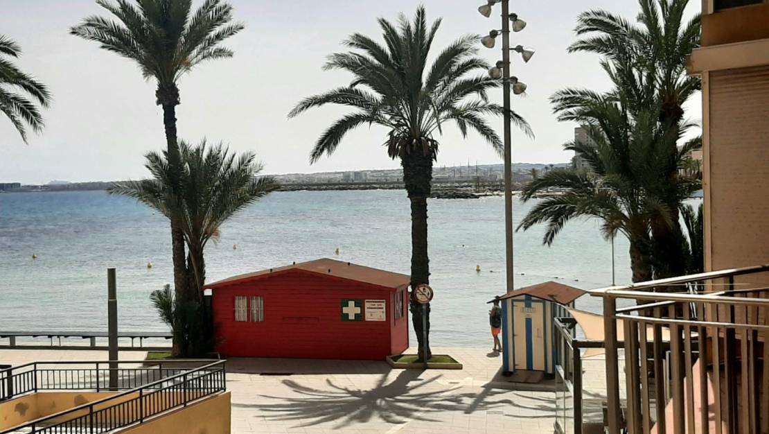 Long time Rental - Apartment / Flat - Playa del Cura