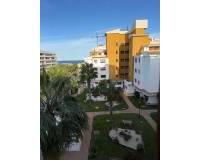 Long time Rental - Apartment / Flat - Punta Prima