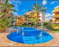 Long time Rental - Apartment / Flat - Punta Prima
