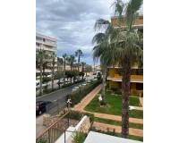 Long time Rental - Apartment/Flat - Punta Prima