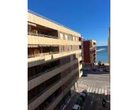 Long time Rental - Apartment / Flat - Torrevieja - Acequion- Torrevieja - Costa Blanca
