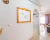 Long time Rental - Apartment / Flat - Torrevieja - La Mata