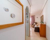 Long time Rental - Apartment/Flat - Torrevieja - La Mata