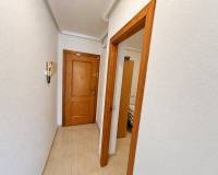 Long time Rental - Apartment / Flat - Torrevieja - Playa de Los Locos-Curva del Palangre