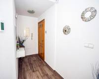 Long time Rental - Apartment/Flat - Torrevieja