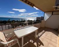 Long time Rental - Apartment / Flat - Torrevieja