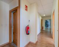 Long time Rental - Коммерческие помещения - Orihuela Costa - Playa Flamenca