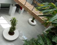 Long time Rental - Коммерческие помещения - Orihuela Costa - Playa Flamenca