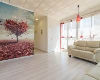 Long time Rental - Коммерческие помещения - Torrevieja - Los balcones