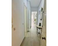 Long time Rental - Квартира / Квартира - Torrevieja Centro - Torrevieja