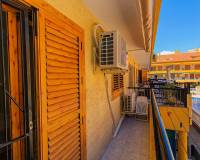 Long time Rental - Квартира / Квартира - Torrevieja - Los Europeos