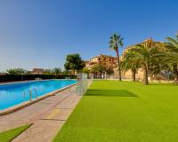 Long time Rental - Квартира / Квартира - Torrevieja - PLAYA DE LA MATA