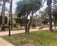 Long time Rental - Квартира / Квартира - Torrevieja - Playa de los Locos