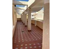 Long time Rental - пентхауз - Torrevieja Centro - Torrevieja