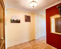 Long time Rental - Penthouse - Torrevieja - Playa del Cura