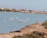 Long time Rental - Villa - San Pedro de Pinatar - El mojon