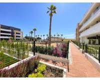 Neubau - Apartment/Flat - Orihuela - Playa Flamenca