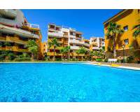 Neubau - Apartment/Flat - Torrevieja - La Recoleta