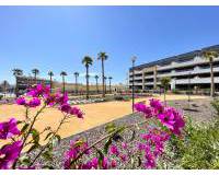 Neubau - Penthouse - Orihuela - Playa Flamenca