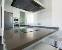 Neubau - Villa - Rojales - Ciudad Quesada