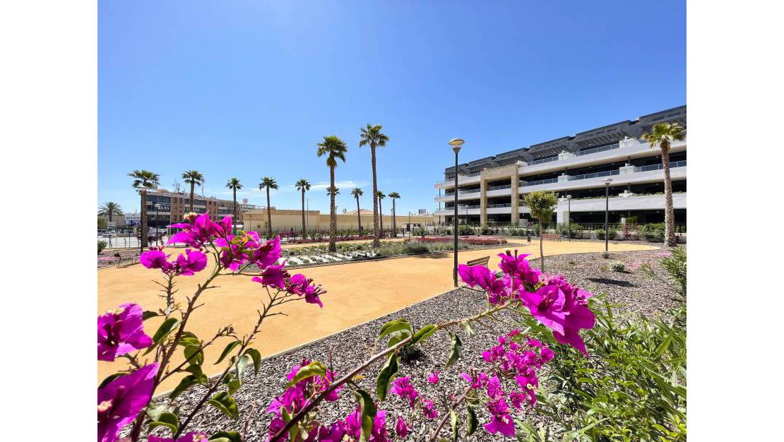 New Build - Apartment / Flat - Orihuela - Playa Flamenca