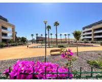 New Build - Apartment/Flat - Orihuela - Playa Flamenca