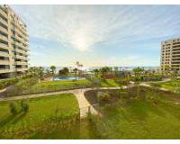 New Build - Apartment / Flat - Torrevieja - Panorama Mar