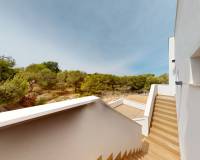 New Build - Penthouse - Torrevieja - Los balcones