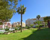 Nieuw gebouw - Apartment/Flat - Torrevieja - Torreblanca