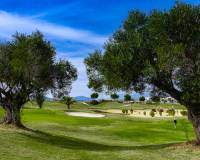 Nieuw gebouw - Villa - Orihuela Costa - Campo de golf