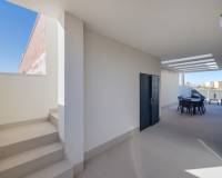 Nieuw gebouw - Villa - Torrevieja - Sector 25 (Aguas Nuevas)