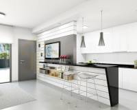 Nieuw gebouw - Villa - Villamartin - Los Dolses