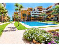 Nueva construcción  - Apartamento / Piso - Torrevieja - La Recoleta