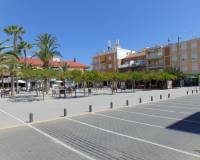 Nueva construcción  - Villa - La Torre de la Horadada