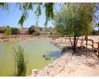 Nybygg - Rijtjeshuis - Benijofar