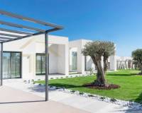 Nybygg - Villa - San Miguel de Salinas - Las colinas