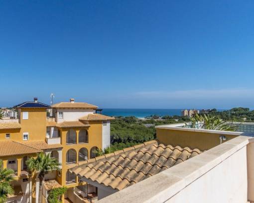 пентхауз - Sale - Orihuela Costa - SEJ-72407