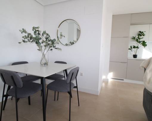 Penthouse - Sale - Torrevieja Centro - SE00-502c