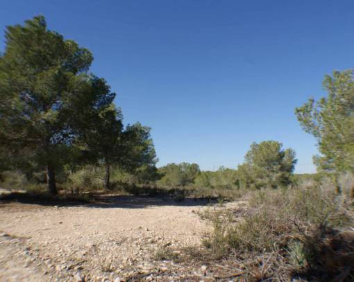 Plot - Wiederverkauf - Pilar de la Horadada - SEF-51604