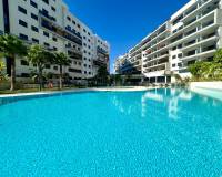 Resale - Apartment / Flat - Dehesa de campoamor - Campoamor