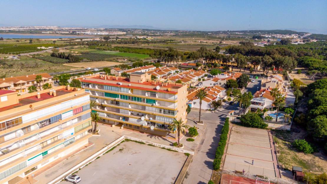 Resale - Apartment / Flat - Guardamar del Segura - Pinomar