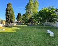 Resale - Apartment / Flat - La Siesta - El Salado - Torreta - La Siesta