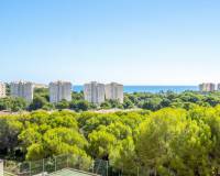 Resale - Apartment / Flat - Orihuela Costa - Altos de Campoamor