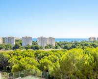 Resale - Apartment / Flat - Orihuela Costa - Altos de Campoamor