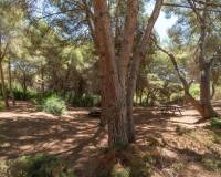 Resale - Apartment / Flat - Orihuela Costa - Altos de Campoamor