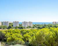 Resale - Apartment / Flat - Orihuela Costa - Campoamor