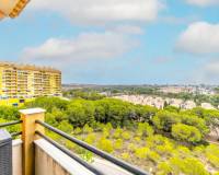 Resale - Apartment / Flat - Orihuela Costa - Campoamor