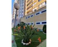 Resale - Apartment / Flat - Orihuela Costa - Dehesa de Campoamor