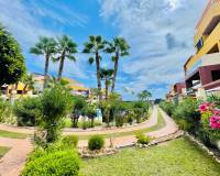 Resale - Apartment / Flat - Orihuela Costa - Playa Flamenca